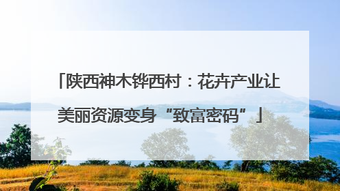 陕西神木铧西村：花卉产业让美丽资源变身“致富密码”