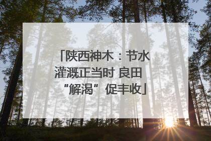 陕西神木：节水灌溉正当时 良田“解渴”促丰收