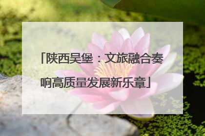 陕西吴堡：文旅融合奏响高质量发展新乐章