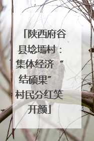 陕西府谷县埝墕村：集体经济“结硕果” 村民分红笑开颜