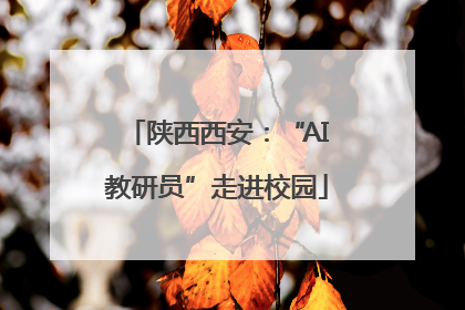 陕西西安：“AI教研员”走进校园