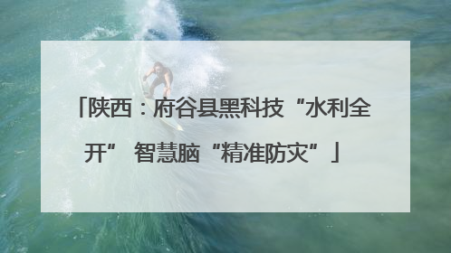 陕西：府谷县黑科技“水利全开” 智慧脑“精准防灾”