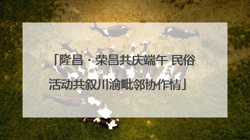 隆昌・荣昌共庆端午 民俗活动共叙川渝毗邻协作情