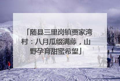 随县三里岗镇贾家湾村：八月瓜缀满藤，山野孕育甜蜜希望