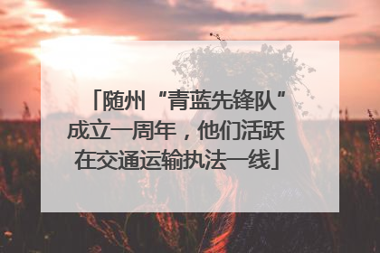 随州“青蓝先锋队”成立一周年，他们活跃在交通运输执法一线