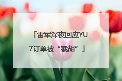 雷军深夜回应YU7订单被“截胡”