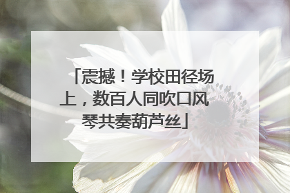 震撼！学校田径场上，数百人同吹口风琴共奏葫芦丝