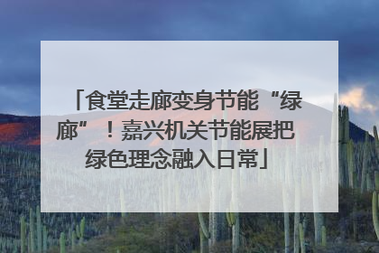 食堂走廊变身节能“绿廊”！嘉兴机关节能展把绿色理念融入日常