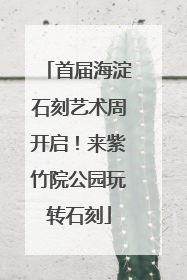 首届海淀石刻艺术周开启！来紫竹院公园玩转石刻