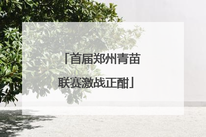 首届郑州青苗联赛激战正酣