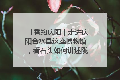 香约庆阳｜走进庆阳合水县这座博物馆，看石头如何讲述陇东千年历史
