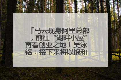 马云现身阿里总部，前往“湖畔小屋”再看创业之地！吴泳铭：接下来将以饱和式投入的打法，聚焦于几大核心战役