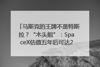 马斯克的王牌不是特斯拉？“木头姐”：SpaceX估值五年后可达2.5万亿美元！