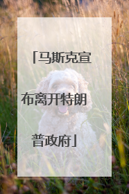 马斯克宣布离开特朗普政府