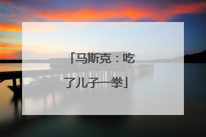 马斯克：吃了儿子一拳