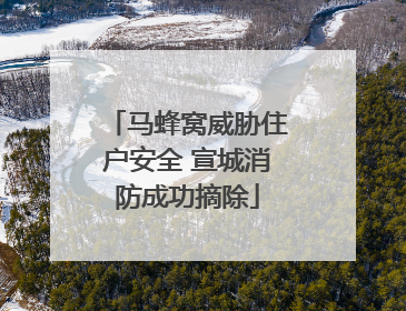 马蜂窝威胁住户安全 宣城消防成功摘除
