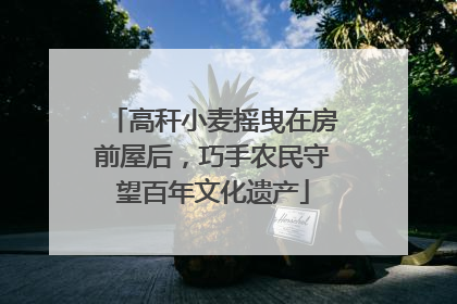 高秆小麦摇曳在房前屋后，巧手农民守望百年文化遗产