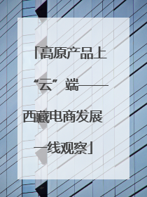 高原产品上“云”端——西藏电商发展一线观察