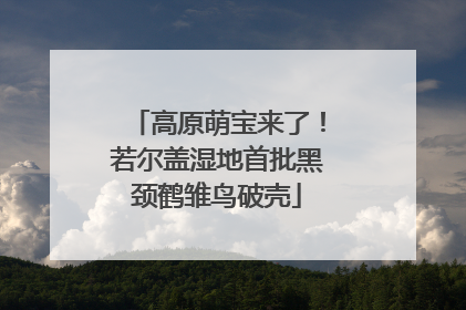 高原萌宝来了！若尔盖湿地首批黑颈鹤雏鸟破壳
