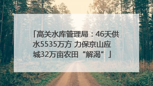 高关水库管理局：46天供水5535万方 力保京山应城32万亩农田“解渴”