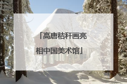 高唐秸秆画亮相中国美术馆