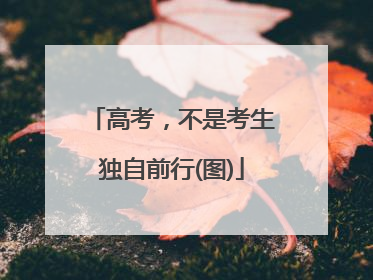 高考，不是考生独自前行(图)