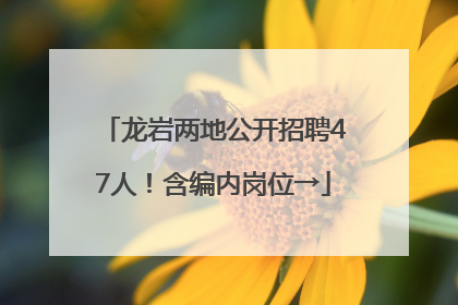 龙岩两地公开招聘47人！含编内岗位→