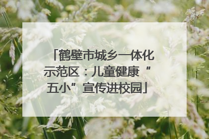 鹤壁市城乡一体化示范区：儿童健康“五小”宣传进校园