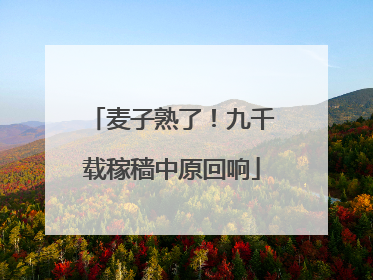 麦子熟了！九千载稼穑中原回响