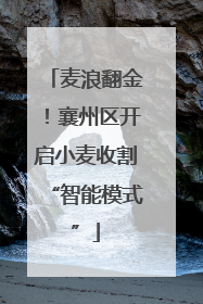 麦浪翻金！襄州区开启小麦收割“智能模式”