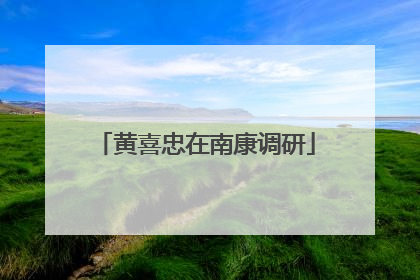 黄喜忠在南康调研