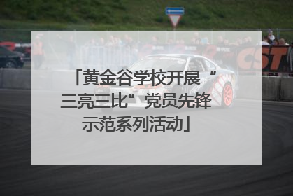 黄金谷学校开展“三亮三比”党员先锋示范系列活动