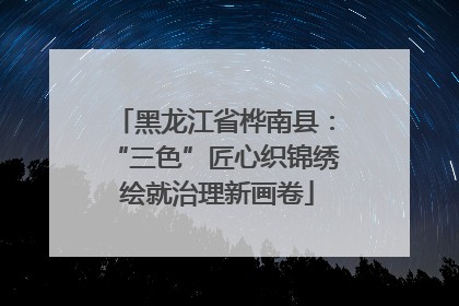 黑龙江省桦南县：“三色”匠心织锦绣 绘就治理新画卷