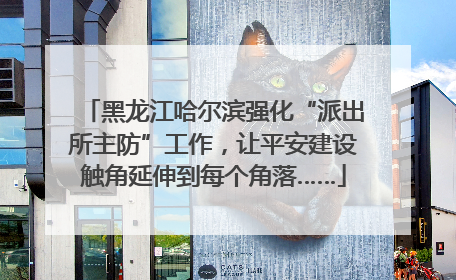 黑龙江哈尔滨强化“派出所主防”工作，让平安建设触角延伸到每个角落……