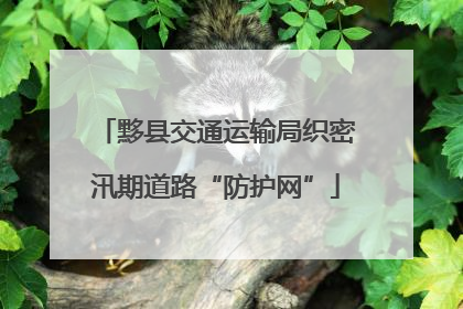 黟县交通运输局织密汛期道路“防护网”