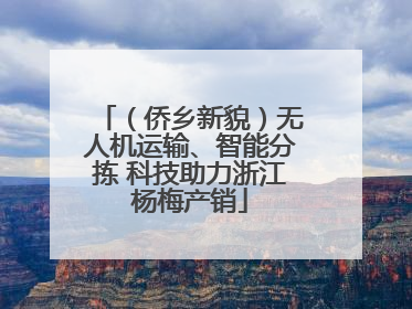 （侨乡新貌）无人机运输、智能分拣 科技助力浙江杨梅产销