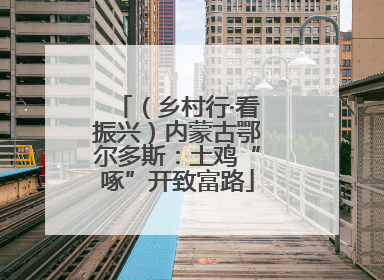 （乡村行·看振兴）内蒙古鄂尔多斯：土鸡“啄”开致富路