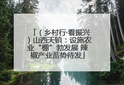 （乡村行·看振兴）山西天镇：设施农业“棚”勃发展 辣椒产业蓄势待发