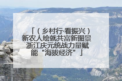 （乡村行·看振兴）新农人绘就共富新图景 浙江庆元统战力量赋能“海拔经济”