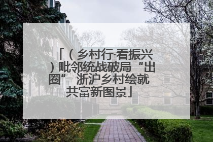 （乡村行·看振兴）毗邻统战破局“出圈” 浙沪乡村绘就共富新图景