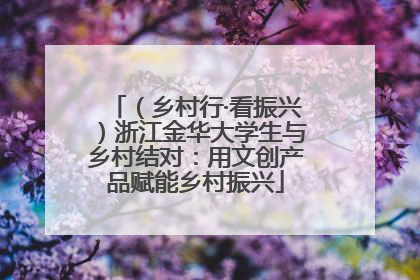 （乡村行·看振兴）浙江金华大学生与乡村结对：用文创产品赋能乡村振兴