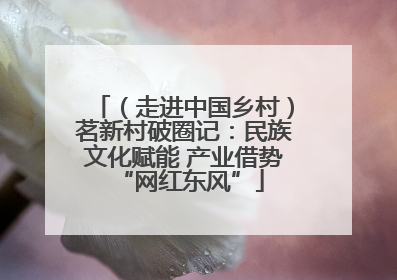 （走进中国乡村）茗新村破圈记：民族文化赋能 产业借势 “网红东风”