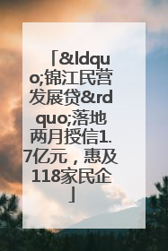 “锦江民营发展贷”落地两月授信1.7亿元，惠及118家民企