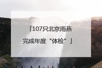 107只北京雨燕完成年度“体检”