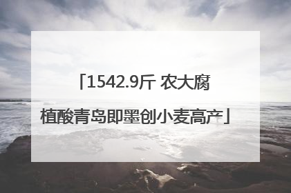 1542.9斤 农大腐植酸青岛即墨创小麦高产