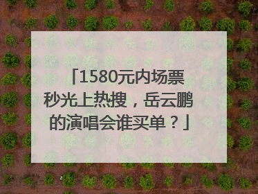1580元内场票秒光上热搜，岳云鹏的演唱会谁买单？