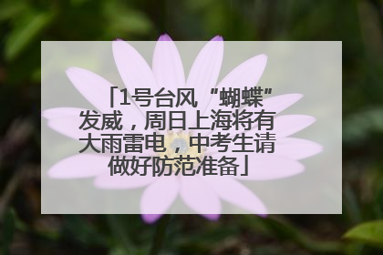 1号台风“蝴蝶”发威，周日上海将有大雨雷电，中考生请做好防范准备