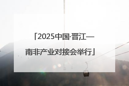 2025中国·晋江—南非产业对接会举行