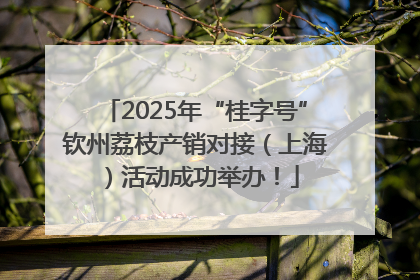 2025年“桂字号”钦州荔枝产销对接（上海）活动成功举办！