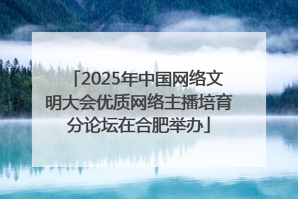 2025年中国网络文明大会优质网络主播培育分论坛在合肥举办